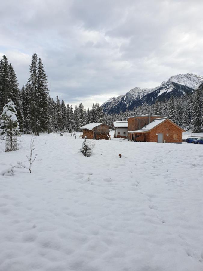 Ammerwald Alm Планзее Экстерьер фото