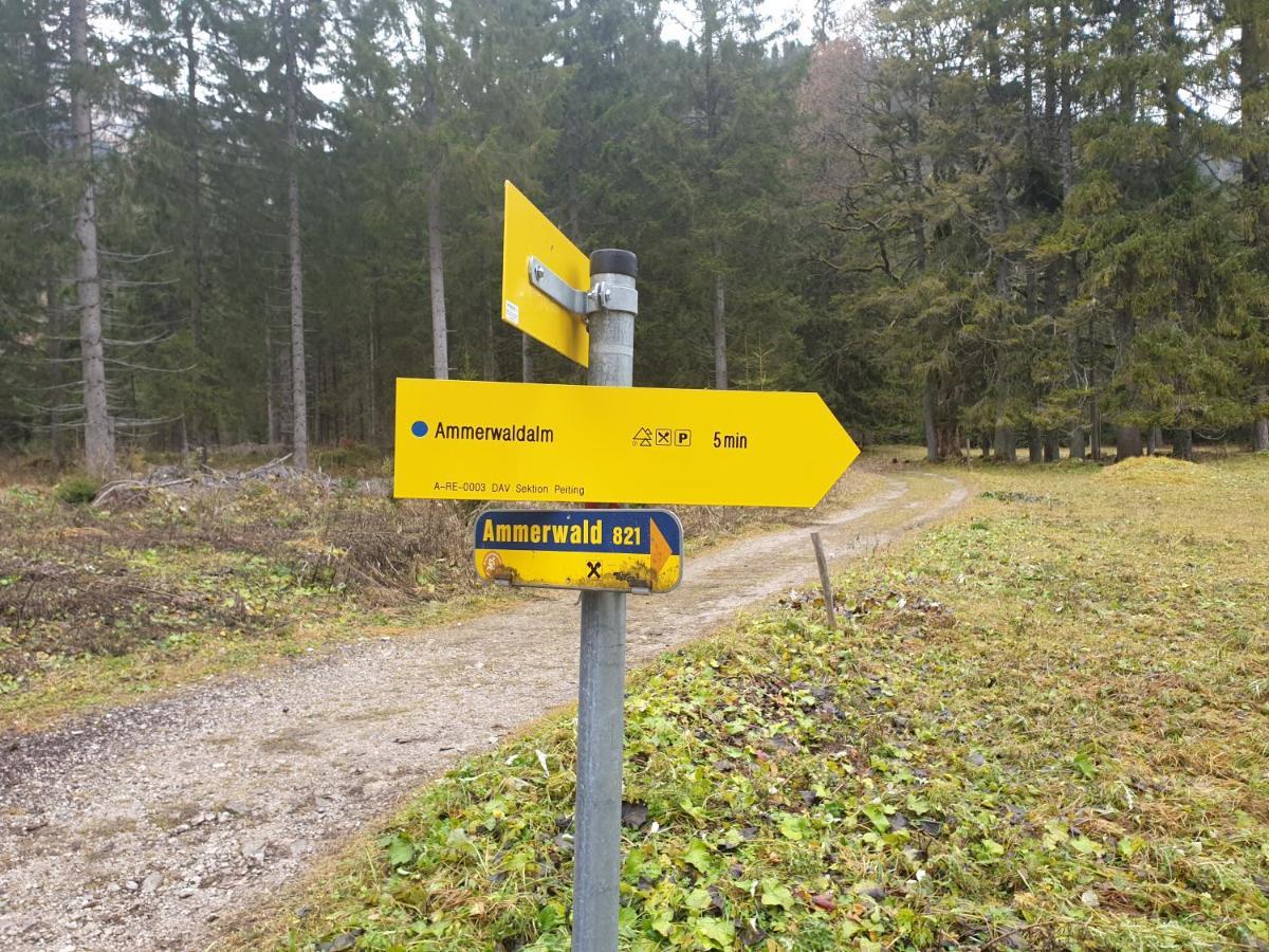 Ammerwald Alm Планзее Экстерьер фото