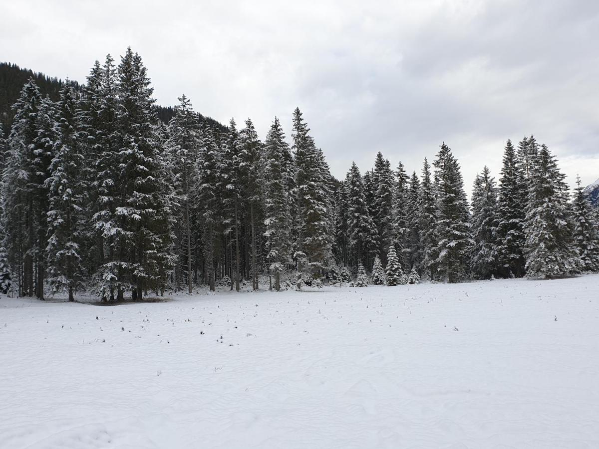 Ammerwald Alm Планзее Экстерьер фото